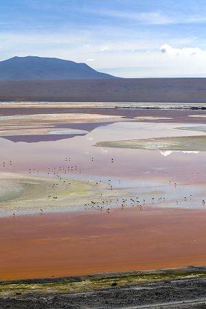 Ojo de Perdiz - Bolivian Border 044.jpg